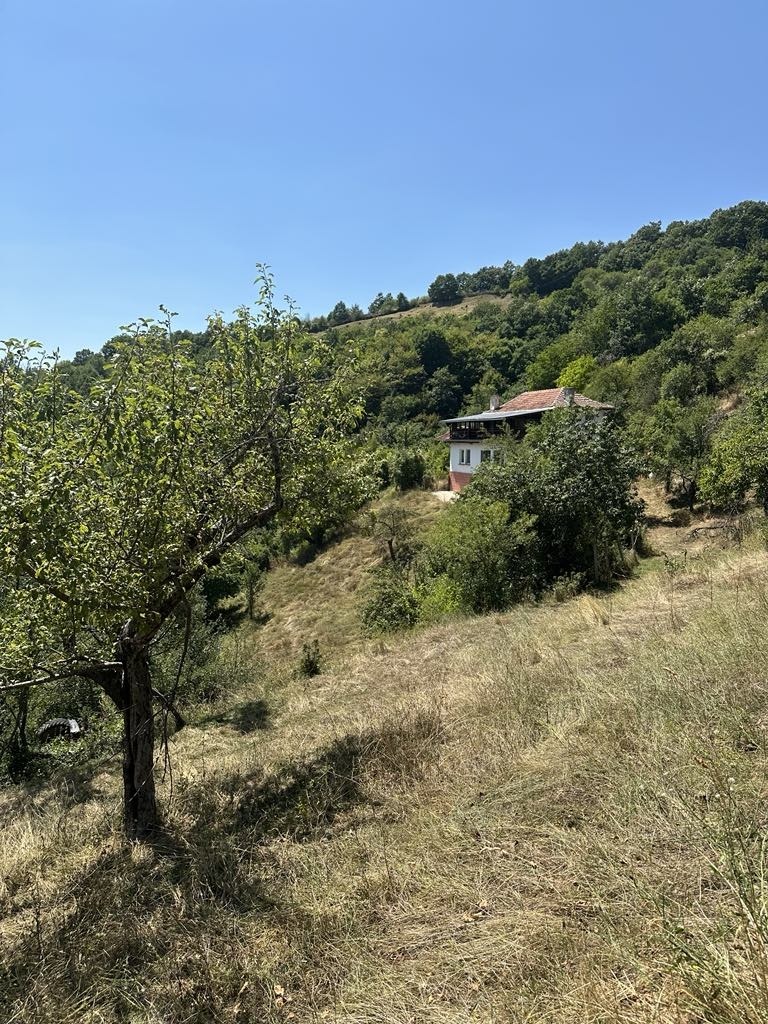 Продава  Къща област Кюстендил , с. Церовица , 160 кв.м | 51245383 - изображение [8]