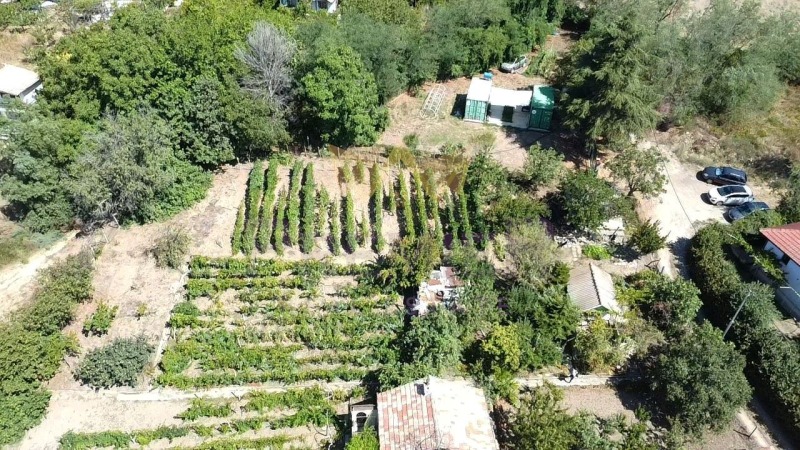 Till salu  Komplott Varna , Vinica , 1355 kvm | 94321382 - bild [6]