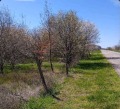 Продава ПАРЦЕЛ, област Добрич, с. Камен бряг • 48000 € • 92549684 — Holmes.bg