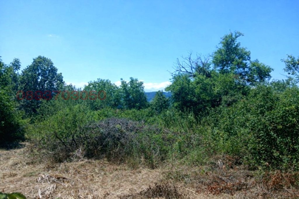 ������� ������ | Imot.bg � ����������� 5