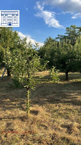 ������� ���� | Imot.bg � ����� ������ 11