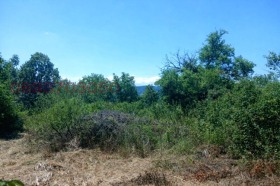 ������� ������ | Imot.bg � ����� ������ 5