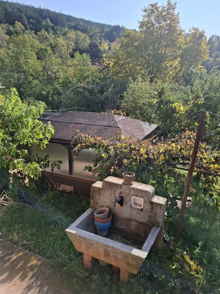 Продава КЪЩА, с. Светля, област Перник, снимка 6 - Къщи - 53280752