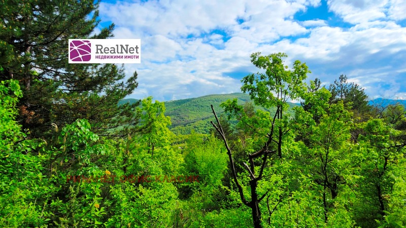 Продава ПАРЦЕЛ в област София, с. Макоцево - 774 кв.м / 16 500 € » 32 271.20 лв., РИЪЛНЕТ ОФИС КЛАСИК