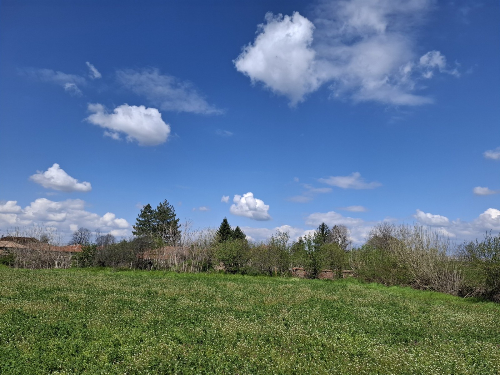 ������� ������ | Imot.bg � ����������� 3