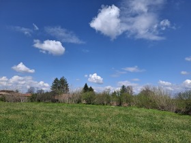 ����� ������� ������,�. �������, ������ �������