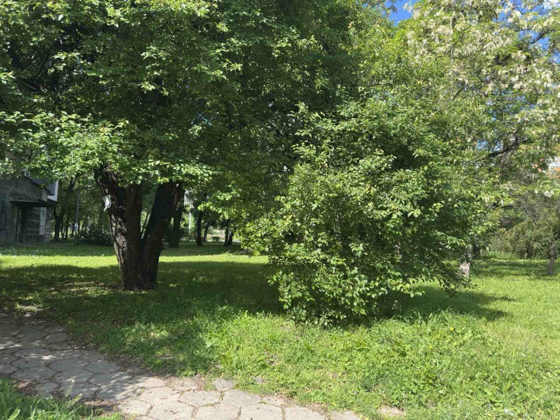 À venda  Estúdio Sofia , Strelbichtche , 31 m² | 72509721 - imagem [7]