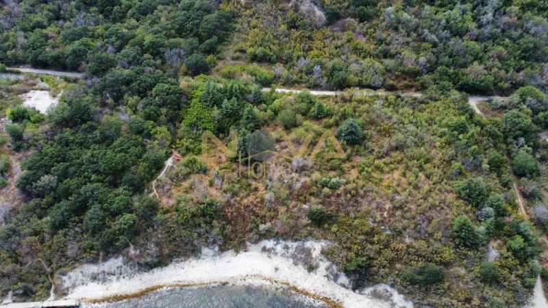 Προς πώληση  Οικόπεδο Βαρνα , κ.κ. Ζλατνη πιασατση , 8076 τ.μ | 70180369 - εικόνα [7]