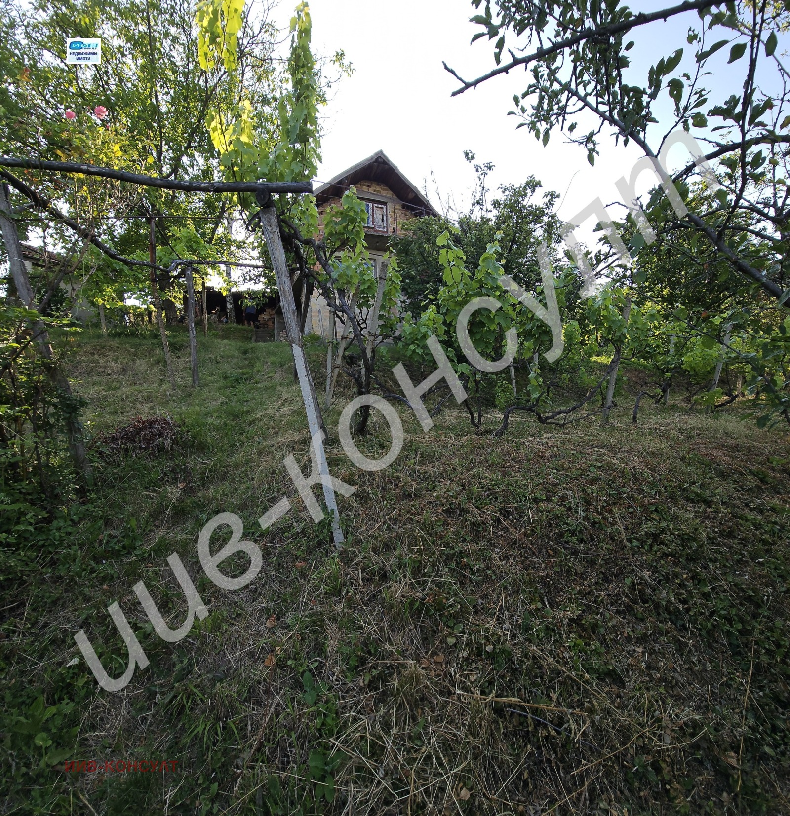 Продава КЪЩА, с. Малки чифлик, област Велико Търново, снимка 2 - Къщи - 50707362