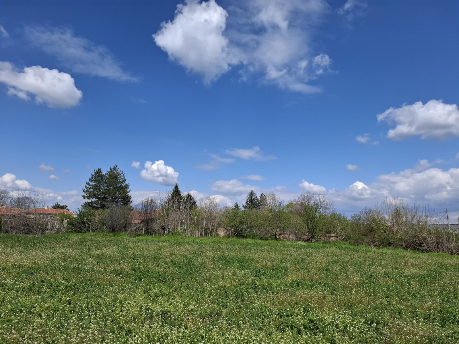 Продава ПАРЦЕЛ, с. Крушево, област Пловдив, снимка 2 - Парцели - 54135995