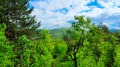 Продава ПАРЦЕЛ, област София, с. Макоцево • 19500 € • 87976527 — Holmes.bg
