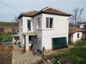 ������ ������� ����