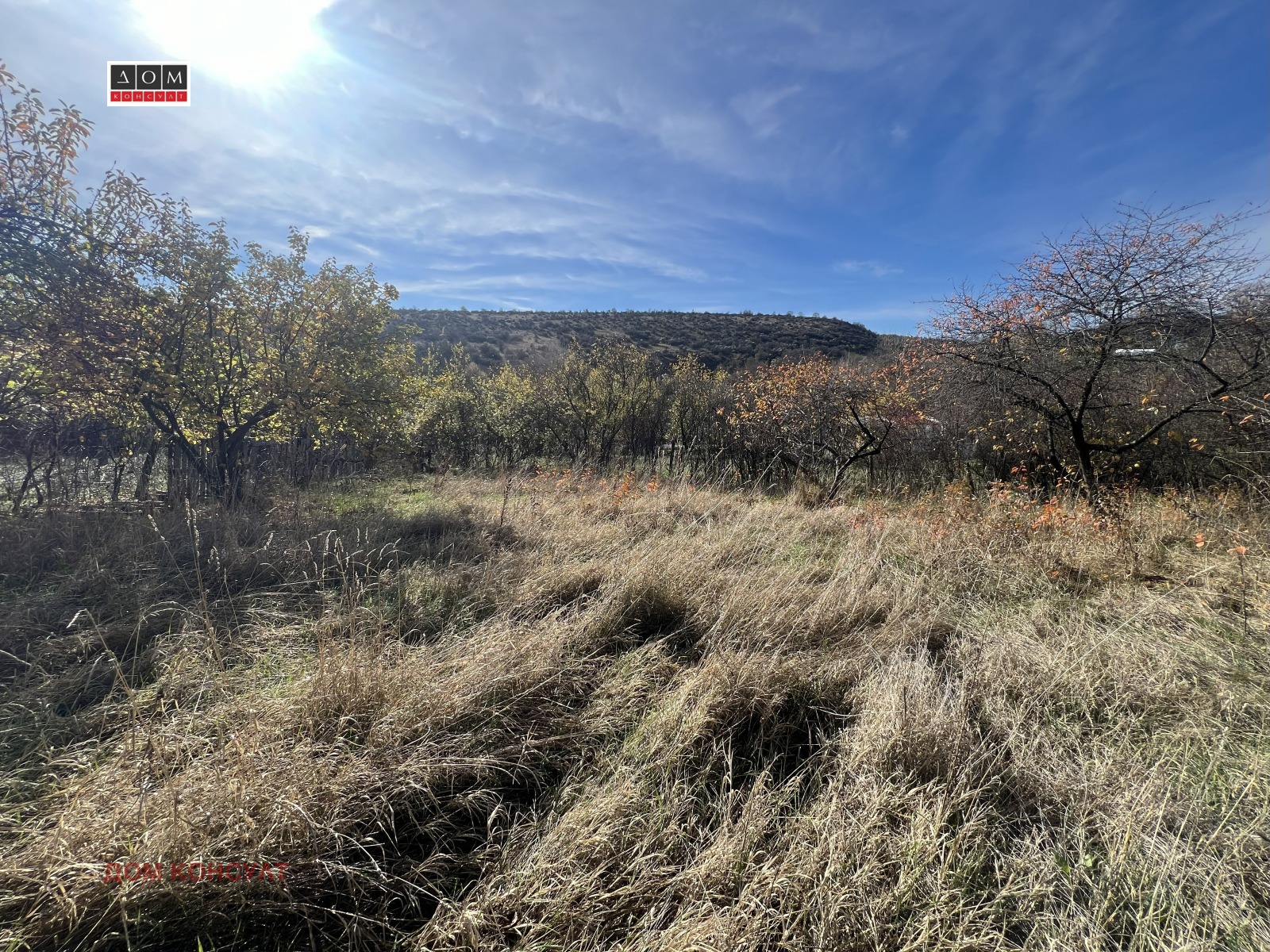 ������� ���� | Imot.bg � ����������� 17