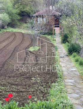 ������� ���� | Imot.bg � ����� ������ 17