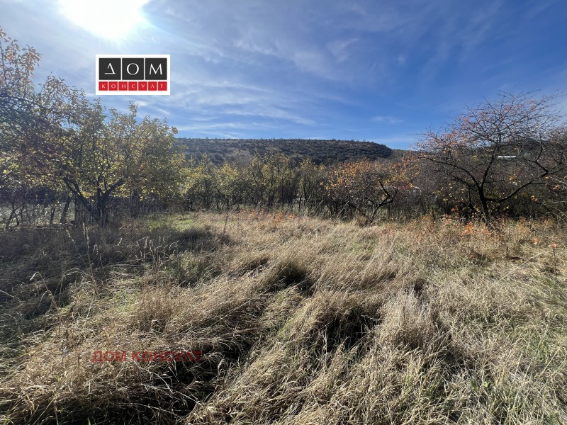 Продава КЪЩА, с. Алдомировци, област София област, снимка 16 - Къщи - 52398543