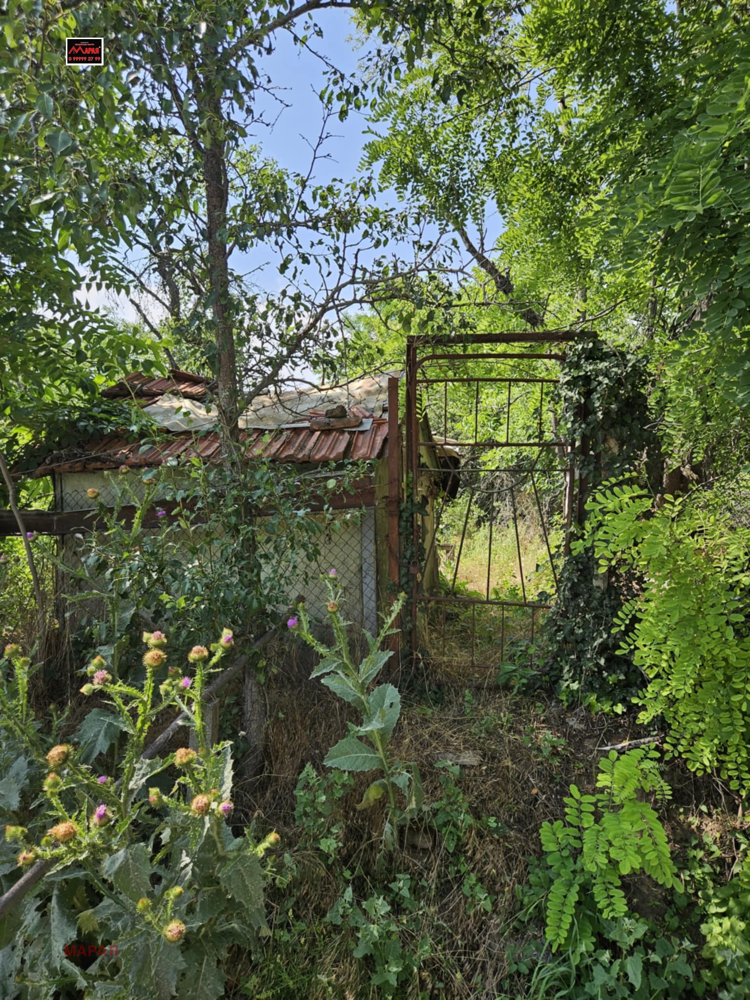 Продава ПАРЦЕЛ | Imot.bg — изображение 3