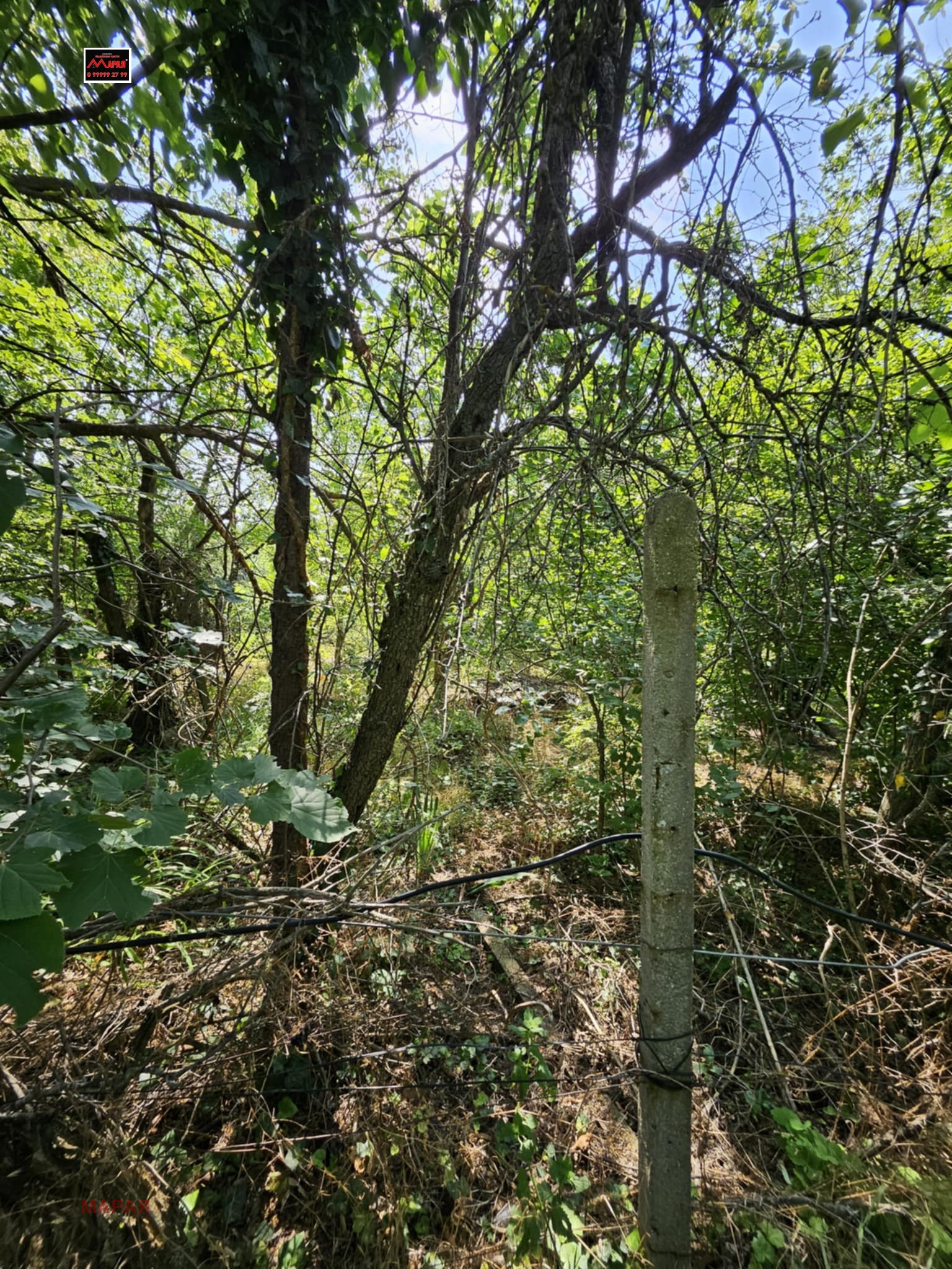 Продава ПАРЦЕЛ | Imot.bg — изображение 6