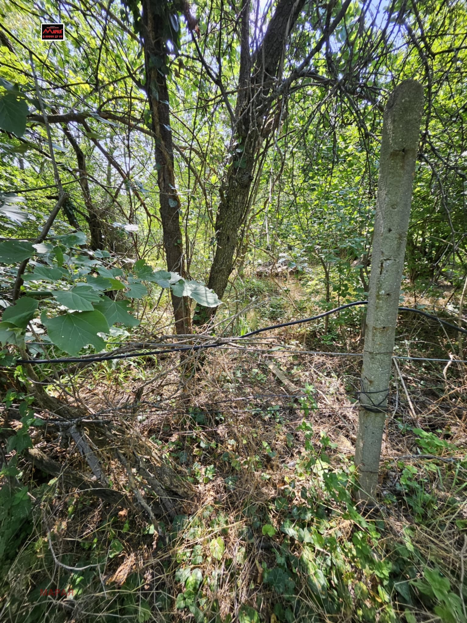 Продава ПАРЦЕЛ | Imot.bg — изображение 5