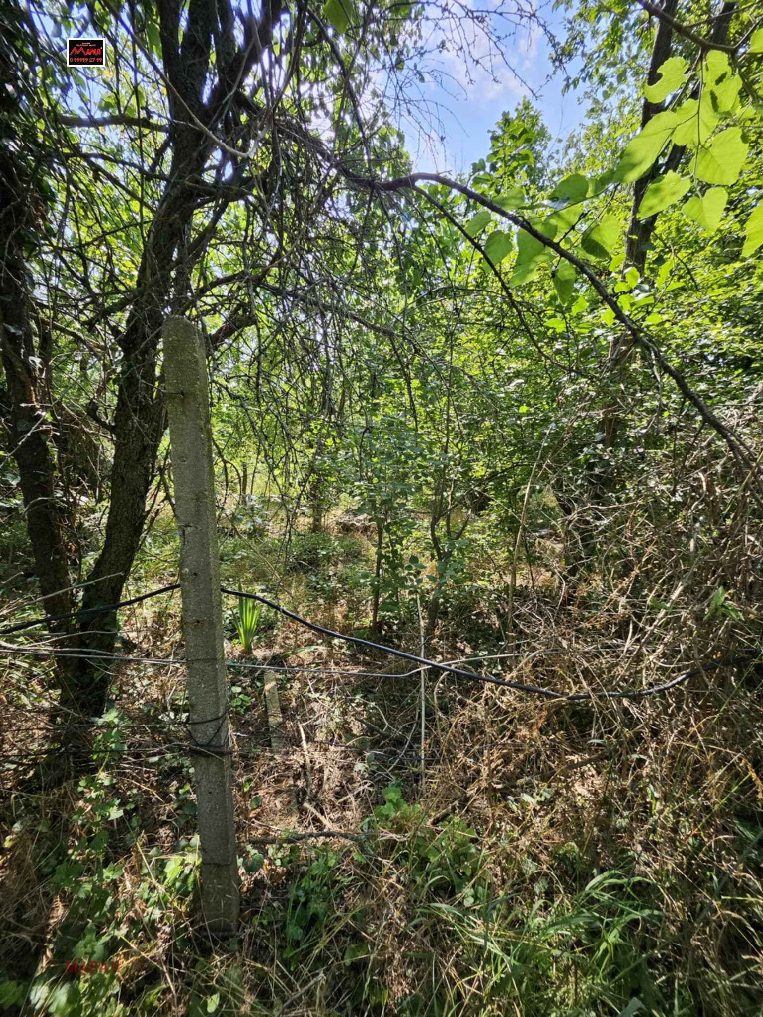 Продава ПАРЦЕЛ | Imot.bg — изображение 4