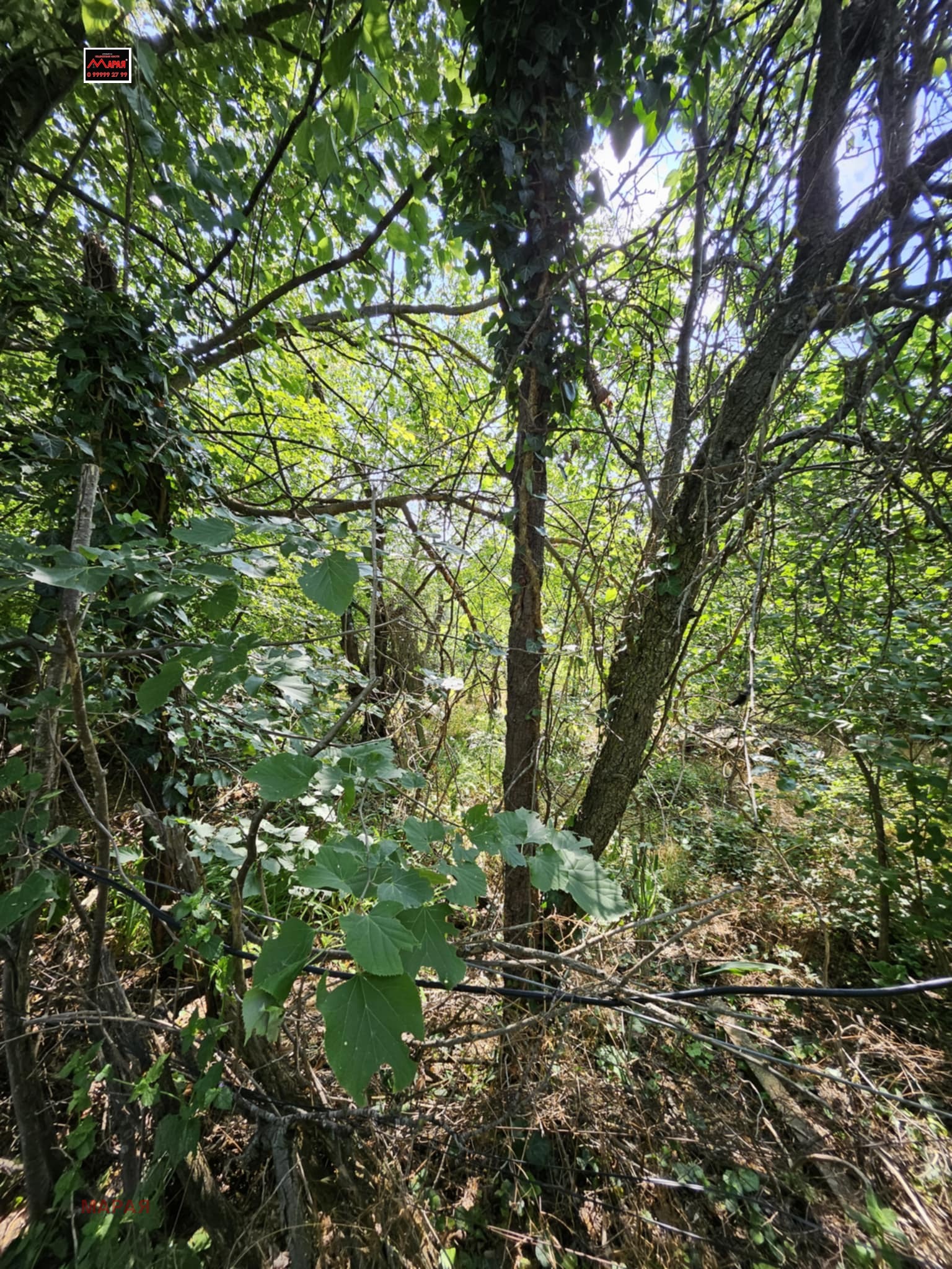 Продава ПАРЦЕЛ | Imot.bg — изображение 2