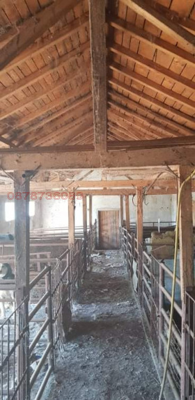 ������� ����. ��������� | Imot.bg � ����� ������ 4