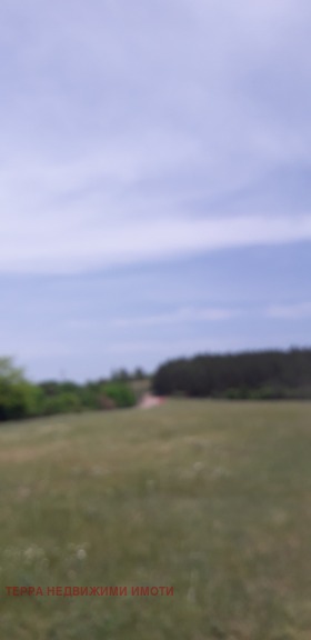 ������� ������ | Imot.bg � ����� ������ 2