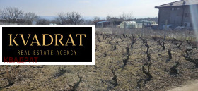 ����� ������� ������,��. ��������, ������ �����