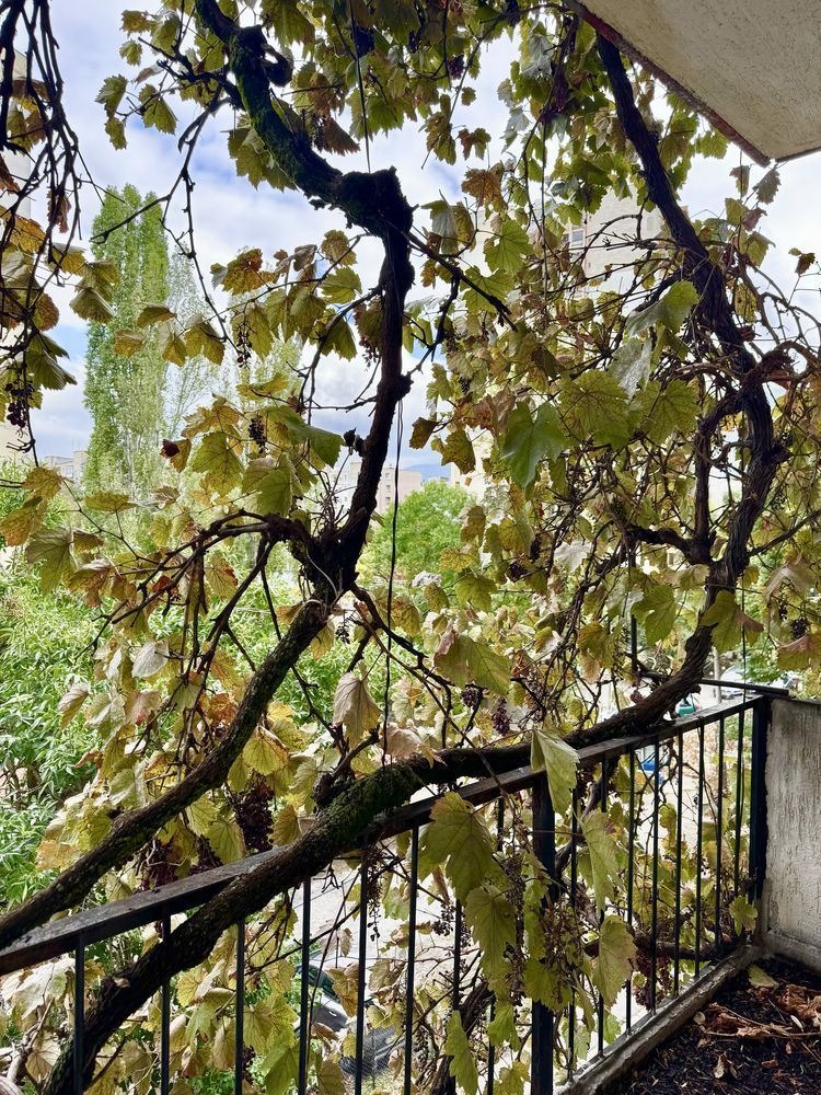 Продава 4-СТАЕН, гр. София, Бъкстон, снимка 8 - Апартаменти - 52415006