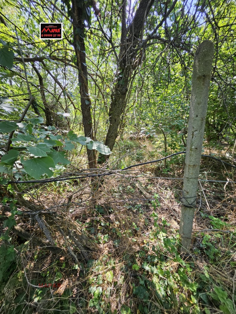Myytävänä  Juoni Rusen alue , Pirgovo , 900 neliömetriä | 49194256 - kuva [5]