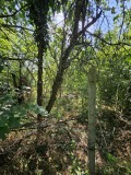 Продава ПАРЦЕЛ, област Русе, с. Пиргово • 9950 € • 21504136 — Holmes.bg