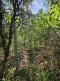 Продава ПАРЦЕЛ, област Русе, с. Пиргово • 9950 € • 21504136 — Holmes.bg