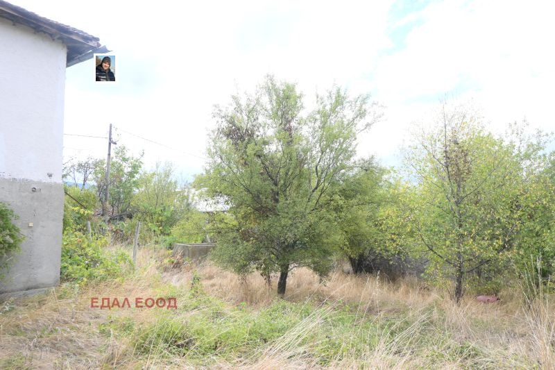 ������� ������ | Imot.bg � ����������� 9
