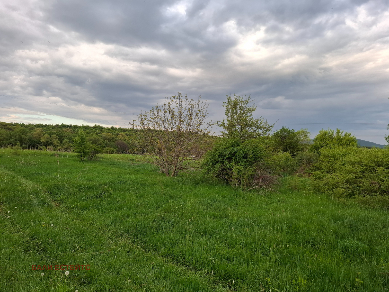 ������� ������ | Imot.bg � ����������� 1