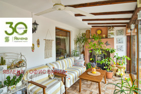 ������ ������� ����