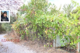 ������� ������ | Imot.bg � ����� ������ 13