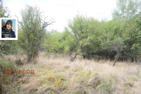 ������� ������ | Imot.bg � ����� ������ 8