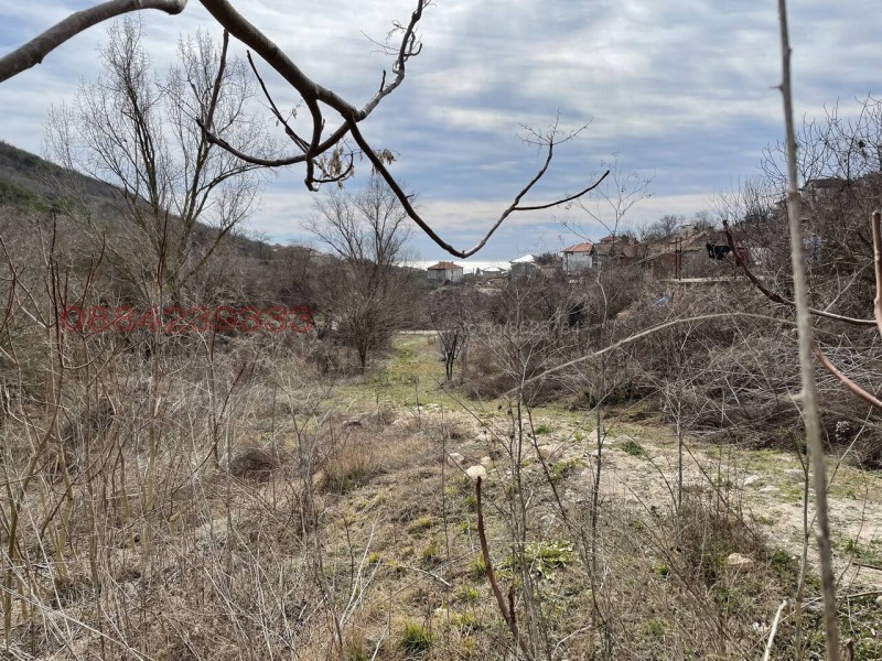 Продава КЪЩА, гр. Балчик, област Добрич, снимка 6 - Къщи - 52782196