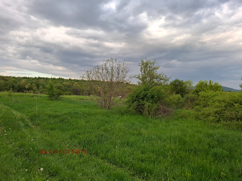 Продава ПАРЦЕЛ, гр. София, с. Бистрица