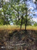 Продава ПАРЦЕЛ, гр. Игнатиево, област Варна, снимка 4