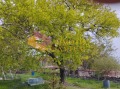 Продава КЪЩА, област Варна, с. Аврен • 108900 € • 42216970 — Holmes.bg