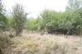 Продава  Парцел област Перник , с. Горна Диканя , 2441 кв.м | 71504101 - изображение [8]