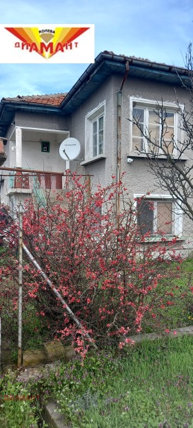 ����� ������� ����,�. ����������, ������ ����� ������