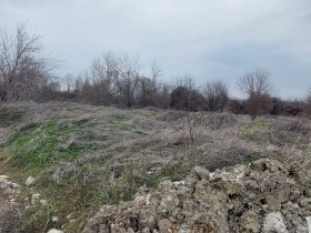 Парцел гр. Павликени, област Велико Търново 3