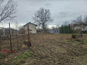 ������ ������� ������