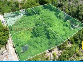 ����� ������� ������,��. �������, ������ �����