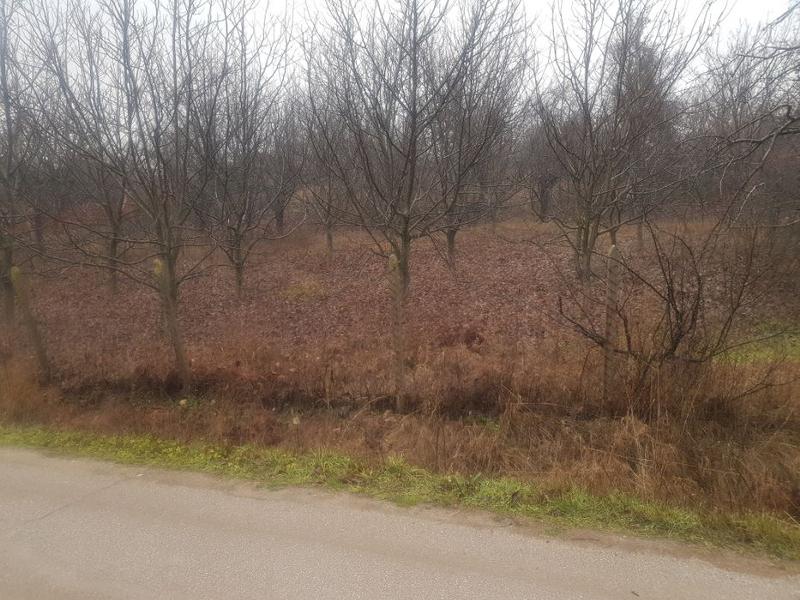 ������� ������ | Imot.bg � ����������� 2