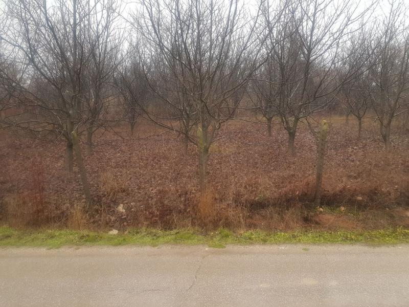 ������� ������ | Imot.bg � ����������� 3