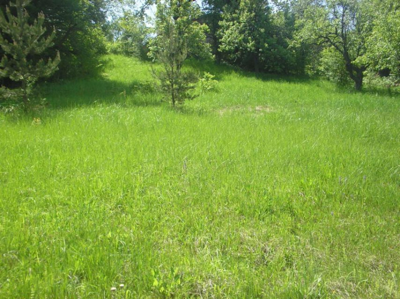 Продава ПАРЦЕЛ в град София, с. Владая - 2439 кв.м / 62 000 € » 121 261.46 лв., МЕЧТАН ДОМ