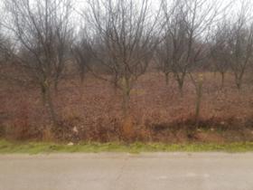 ������� ������ | Imot.bg � ����� ������ 3