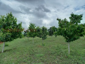 ������� ���������� ���� | Imot.bg � ����� ������ 2